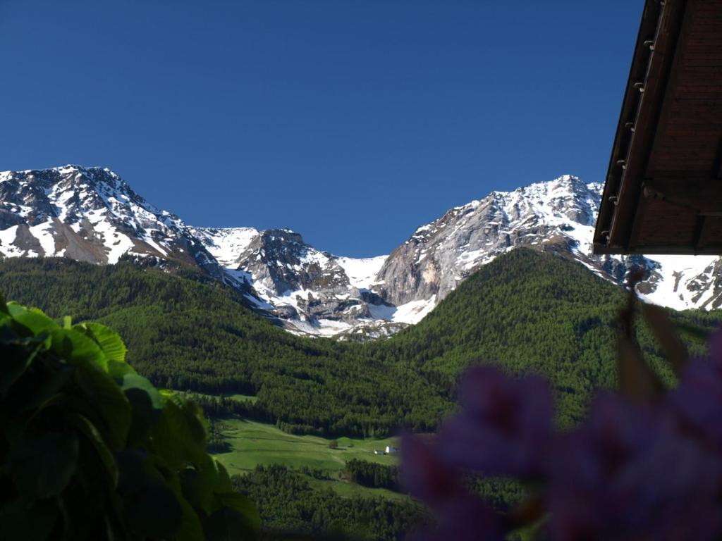 Feldgaertenhof Silandro Extérieur photo